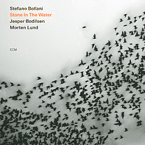 Bollani, Stone In The Water