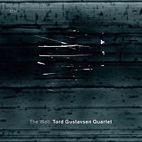 Tord Gustavsen, The Well
