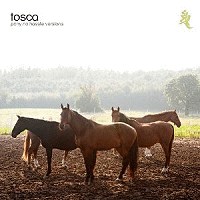 Tosca, Pony No Hassle